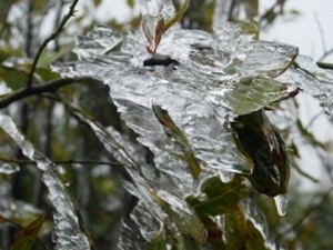 Subzero temperatures are causing ice layers to quickly form in open areas in Sa Pa District (Photo: VNA)